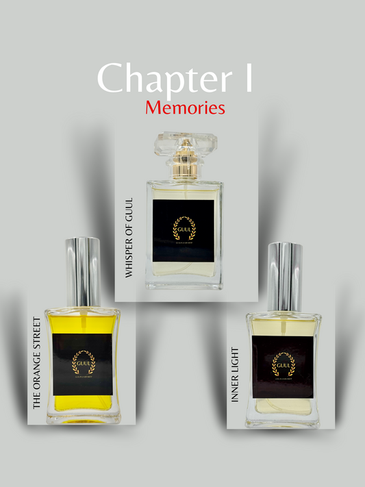 Chapter I: Memories